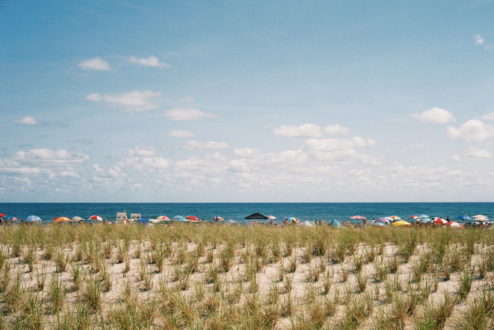 Beach cleanup volunteer effort on the Jersey Shore